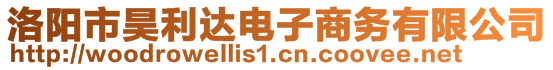 洛阳市昊利达电子商务有限公司