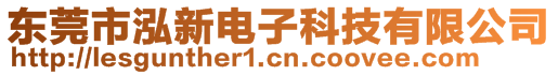 東莞市泓新電子科技有限公司