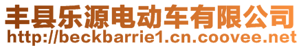 豐縣樂源電動車有限公司