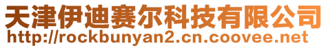 天津伊迪賽爾科技有限公司