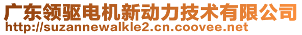 廣東領(lǐng)驅(qū)電機(jī)新動力技術(shù)有限公司