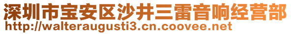 深圳市寶安區(qū)沙井三雷音響經(jīng)營(yíng)部