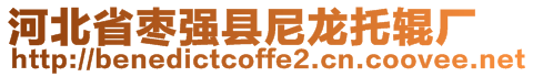 河北省棗強縣尼龍托輥廠