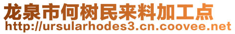 龍泉市何樹民來料加工點