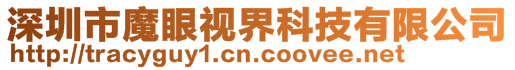 深圳市魔眼视界科技有限公司