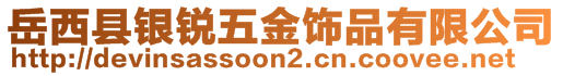 岳西縣銀銳五金飾品有限公司