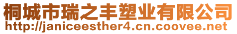 桐城市瑞之豐塑業(yè)有限公司