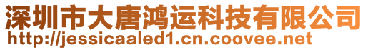 深圳市大唐鸿运科技有限公司