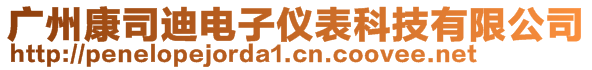 广州康司迪电子仪表科技有限公司