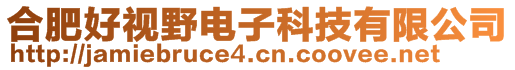 合肥好視野電子科技有限公司