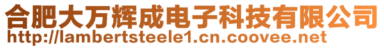 合肥大万辉成电子科技有限公司