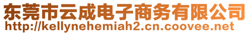 东莞市云成电子商务有限公司