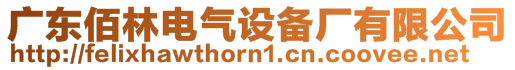 廣東佰林電氣設(shè)備廠有限公司