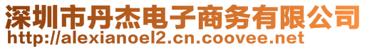 深圳市丹杰電子商務有限公司