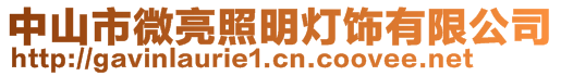 中山市微亮照明灯饰有限公司