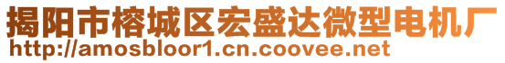 揭陽市榕城區(qū)宏盛達微型電機廠