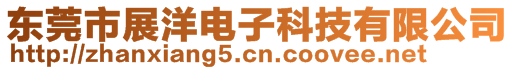 東莞市展洋電子科技有限公司