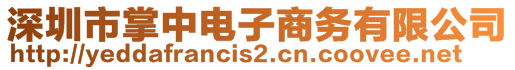 深圳市掌中電子商務(wù)有限公司