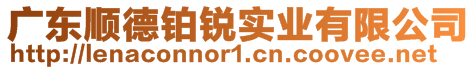 廣東順德鉑銳實業(yè)有限公司