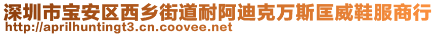 深圳市宝安区西乡街道耐阿迪克万斯匡威鞋服商行