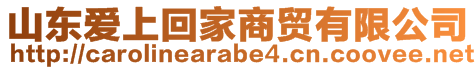 山東愛上回家商貿(mào)有限公司