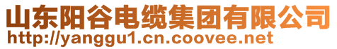 山東陽谷電纜集團(tuán)有限公司