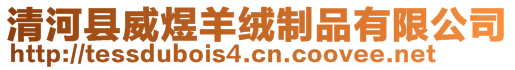 清河縣威煜羊絨制品有限公司