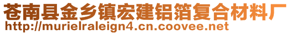 蒼南縣金鄉(xiāng)鎮(zhèn)宏建鋁箔復(fù)合材料廠