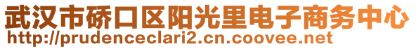 武漢市硚口區(qū)陽(yáng)光里電子商務(wù)中心