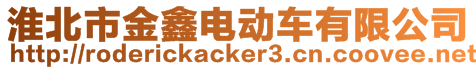 淮北市金鑫電動車有限公司