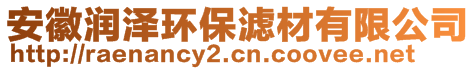 安徽潤(rùn)澤環(huán)保濾材有限公司