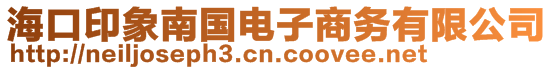 ?？谟∠竽蠂?guó)電子商務(wù)有限公司