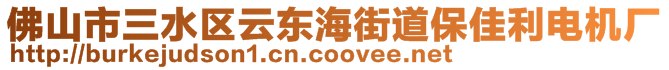 佛山市三水區(qū)云東海街道保佳利電機廠