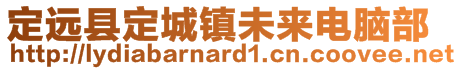 定遠(yuǎn)縣定城鎮(zhèn)未來(lái)電腦部