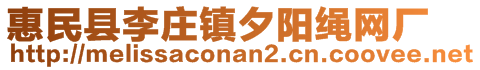 惠民縣李莊鎮(zhèn)夕陽繩網(wǎng)廠