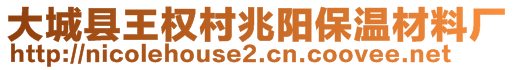 大城縣王權(quán)村兆陽(yáng)保溫材料廠