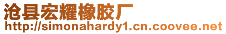 滄縣宏耀橡膠廠