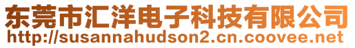 東莞市匯洋電子科技有限公司