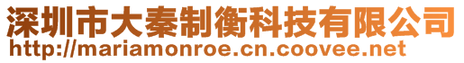 深圳市大秦制衡科技有限公司