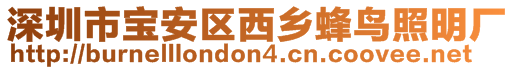 深圳市寶安區(qū)西鄉(xiāng)蜂鳥(niǎo)照明廠