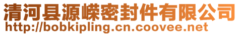 清河县源嵘密封件有限公司