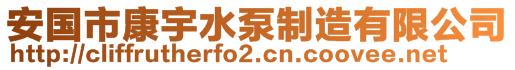 安国市康宇水泵制造有限公司