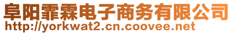 阜陽霏霖電子商務(wù)有限公司