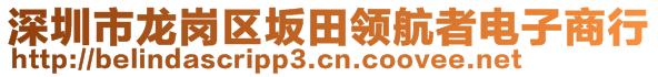 深圳市龍崗區(qū)坂田領航者電子商行