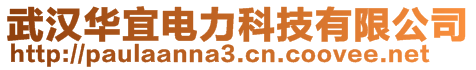 武漢華宜電力科技有限公司