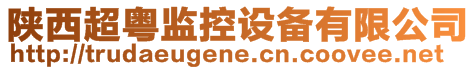 陜西超粵監控設備有限公司