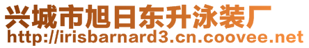 興城市旭日東升泳裝廠