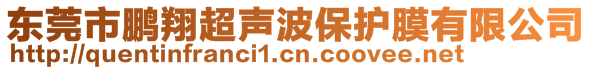 东莞市鹏翔超声波保护膜有限公司