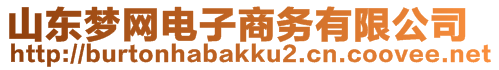 山東夢(mèng)網(wǎng)電子商務(wù)有限公司