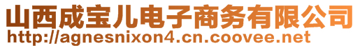 山西成寶兒電子商務有限公司